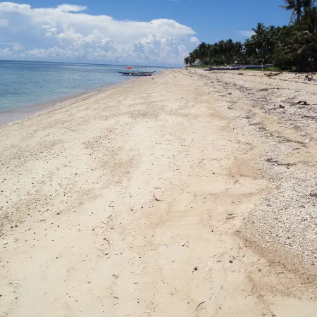 The Beach House Carabao Island