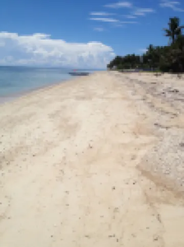 เดอะบีช เฮาส์