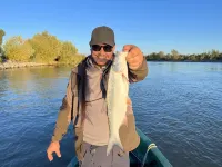 오비디우 Crisan 호텔