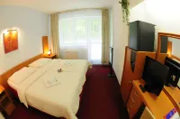 Interhotel America Hotels in Písek