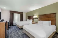 Comfort Inn & Suites Mt Rushmore 마운트 러스모어 UT 호텔