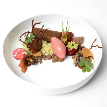 Grischa - Das Hotel Davos