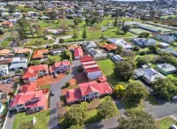 Pelicans Albany Middleton Beach