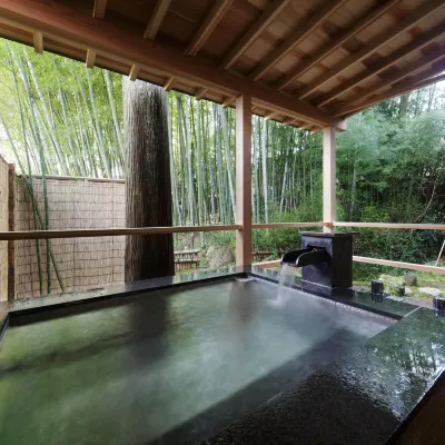 高志の宿 高島屋 天神山城址周辺のホテル