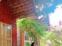 تام كوك جاردن  هومستاي