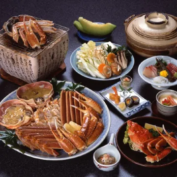 Seikiro Ryokan Historical Museum Hotel Отели рядом с достопримечательностью «Парк аттракционов Аманохасидатэ-Вью-Лэнд»