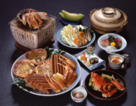 Seikiro Ryokan Historical Museum Hotel