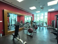 Hilton Doha - Gym