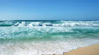 Beach Lodge Motels - 2-Star
