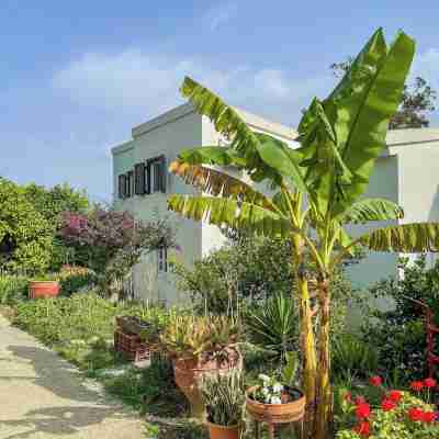 Rose of Crete Hotel Exterior