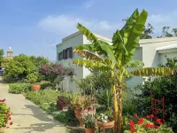 Rose of Crete - 2-Star