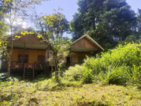 Mountain View Cottages & Villa Tangkahan Hotels in Langkat Regency