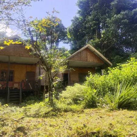 Mountain View Cottages & Villa Tangkahan