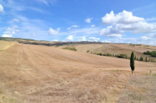 Whole big Tuscan Villa with Pool & Vineyards in the Heart of Tuscany