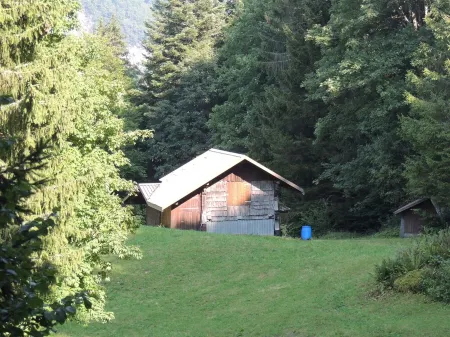 Lovingly furnished Alphüttli