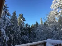 The "Old Barn" in the woods. Peace, Romance, Ahhh