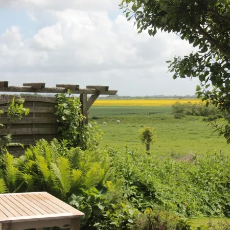 Fantastic thatched cottage on the North Sea coast with a separate sauna house