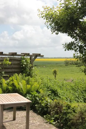 Fantastic thatched cottage on the North Sea coast with a separate sauna house