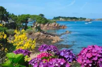 Paimpol - Grande Maison Familiale : Chez Tad Kozh