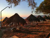 Schönes Ferienhaus am Meer