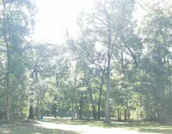 Escape to Nature - 2 miles from Ichetucknee park