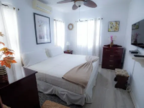 Luxury Ocean Front House, West Coast, Barbados Hotels in Checker Hall