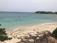 Apartment - Walk to the Beach