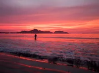 Amazing Beach Front Condo w/ Pool, Endless Beach, Flamingo/Potrero