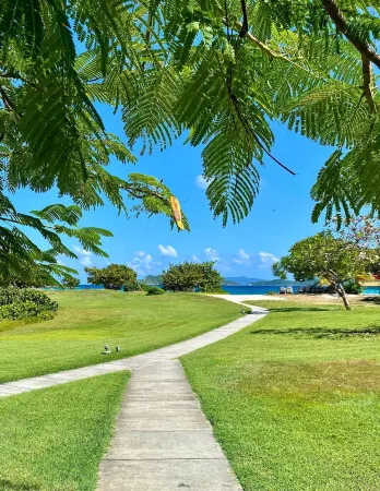 Entire Condo on the Beach Отели рядом с достопримечательностью «Terminal 1 of Cyril E. King Airport»