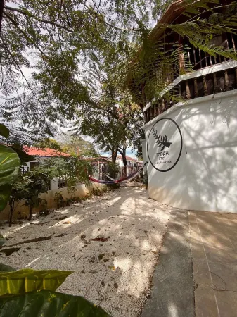 Bed & Breakfast Downtown Liberia1