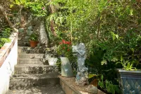 ST.JOHN, VIRGIN ISLANDS!  2 BEDROOM, 1.5 BATH, BEAUTIFUL TROPICAL GARDENS! Hotels in 