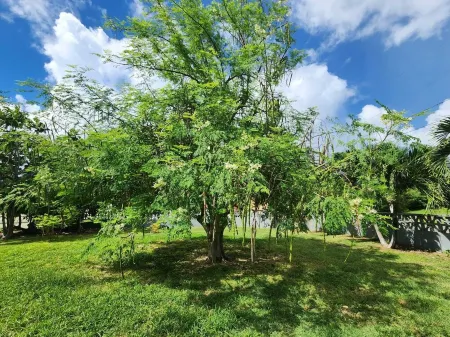 Modern Chic 1BR Apt w/ W/D & Island Fruit Garden