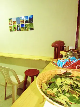 The Grasshopper Hostels AV Alta