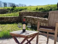 Domaine de Labrousse, Maison d'Hotes en Perigord - Pensions