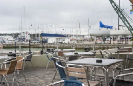 파운틴 인 카우