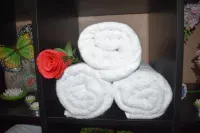 فندق بلازا الامارات