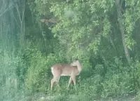 Manor on the Mile Two Hotels in Waterford