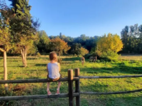 Villa Rigacci Hotel Hotels in Reggello