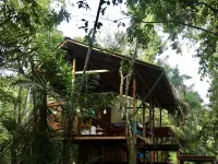 Punta Brava Hotels in Nuquí