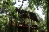 Punta Brava Отели в г. 