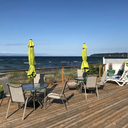 Buena Vista by the Sea