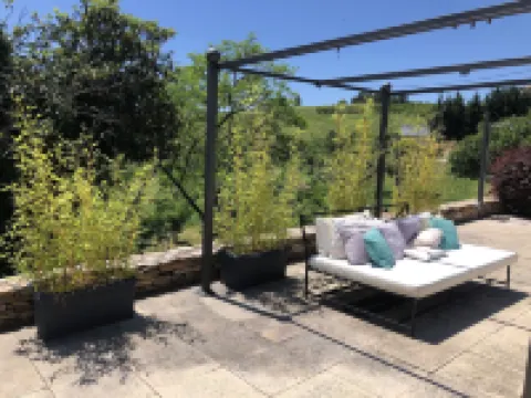 Pereira莊園 酒店