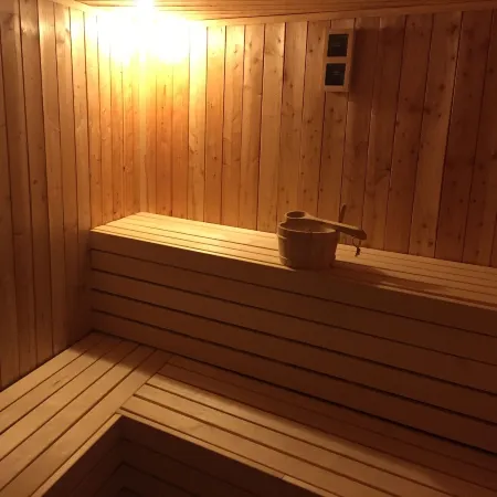 Vulkán Wellness Panzió