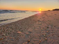 The Sagaponack - Strand