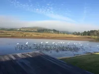 Moonriver Self Catering Hotels in Keurboomstrand