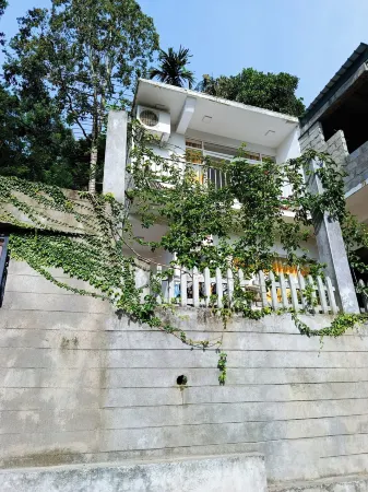 Ella Delightful Surround