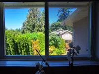 Eagle' house, Room #2