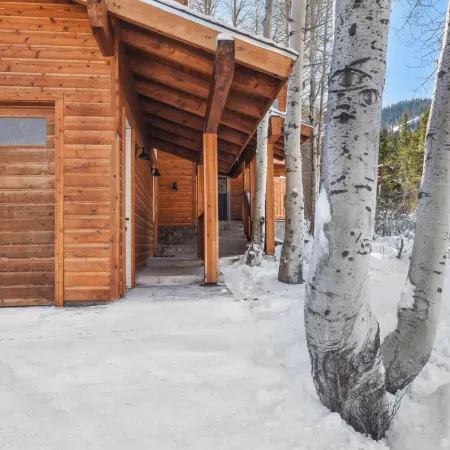 Alpine Chalet Nature Lovers Rejoice! Chic 4 BDR