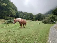 Charming Family Studio at the foot of Tourmalet