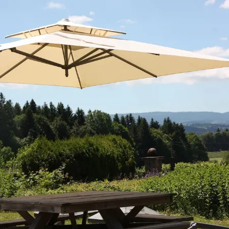 Large, characterful family chalet in the heart of nature.